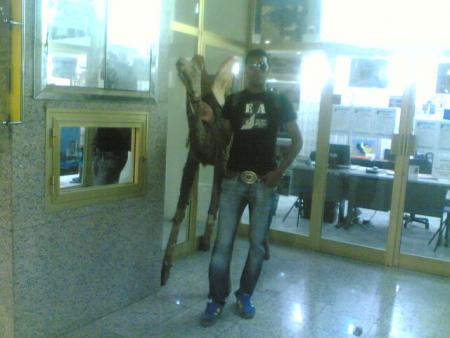 3awtani m3a jmale